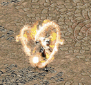 飛龍在天.gif