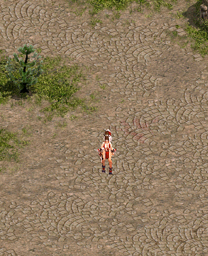 1.gif