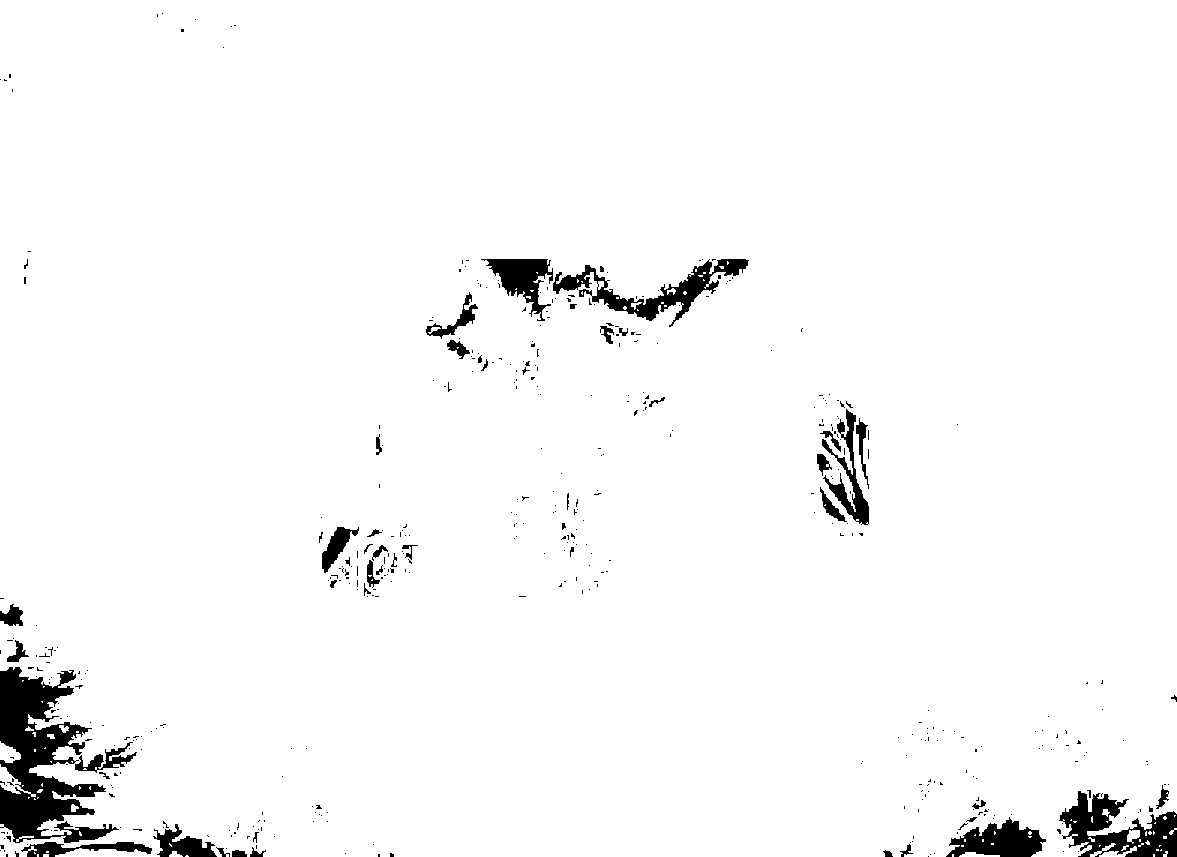 螢幕擷取畫面2.png