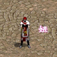 01.jpg