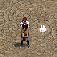 02.jpg
