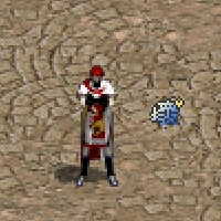 03.jpg