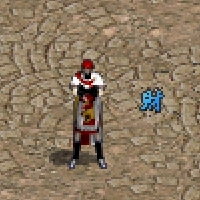 003.jpg