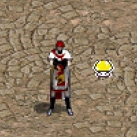 004.jpg