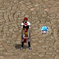 006.jpg