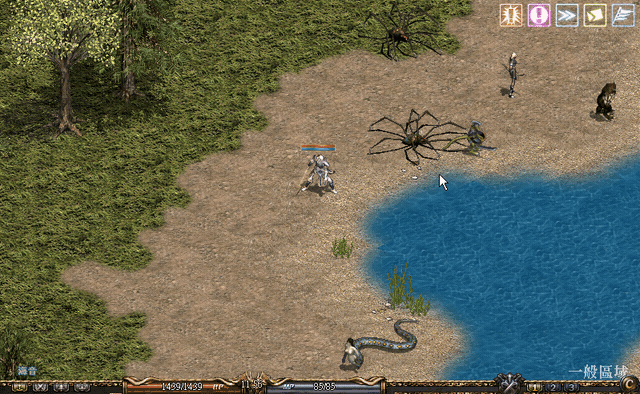 S__5578773.gif