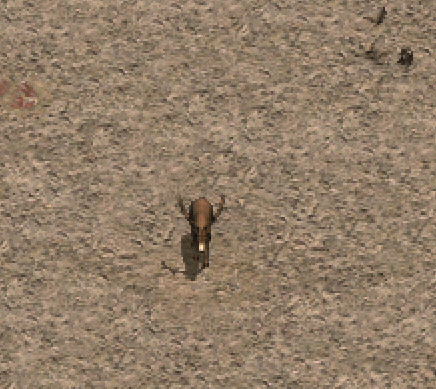沉睡之霧韓版1.gif