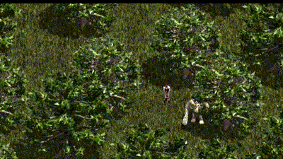 228.gif